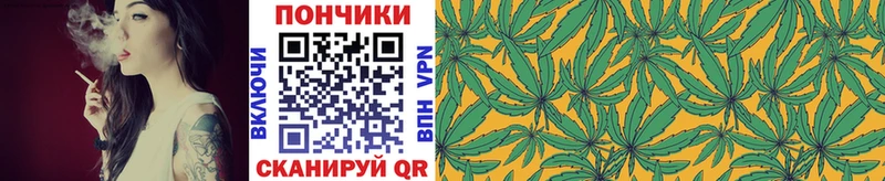 сколько стоит  Белозерск  Бошки Шишки индика 